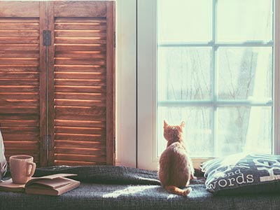 Doors & Windows Company, Tomball, TX Doors & Windows Company, Tomball, TX